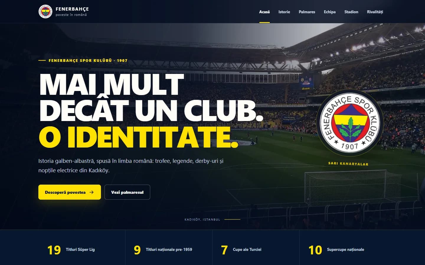 Captură a proiectului Fenerbahce pe desktop